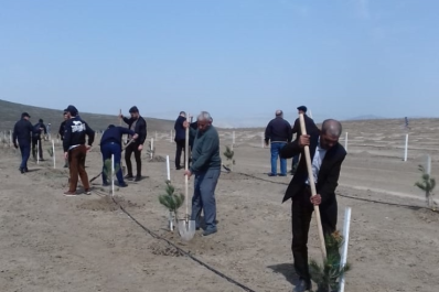 RSSС employees took part in a tree planting campaign