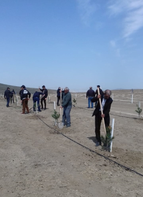 Сотрудники РЦСС приняли участие в акции по посадке деревьев